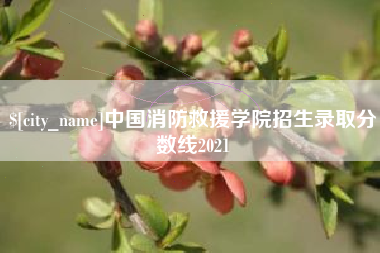 徐州中国消防救援学院招生录取分数线2021