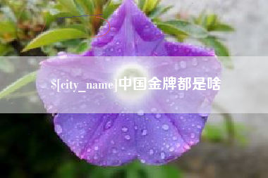 徐州中国金牌都是啥