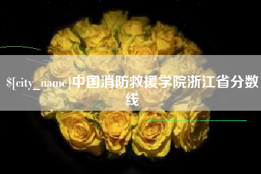 徐州中国消防救援学院浙江省分数线