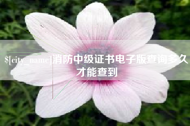 徐州消防中级证书电子版查询多久才能查到