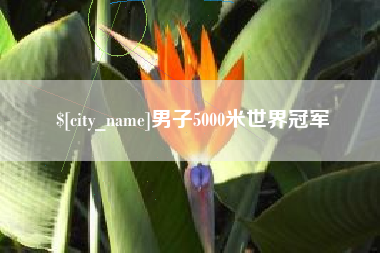 徐州男子5000米世界冠军