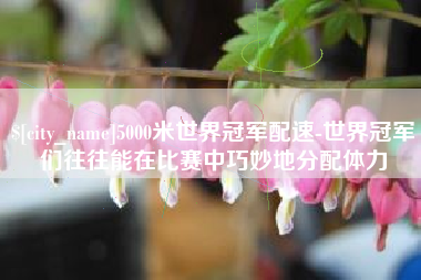 徐州5000米世界冠军配速-世界冠军们往往能在比赛中巧妙地分配体力