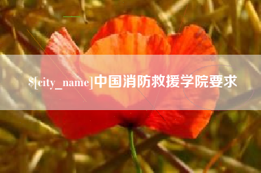 徐州中国消防救援学院要求