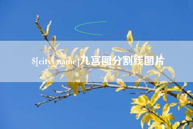 徐州九宫图分割线图片