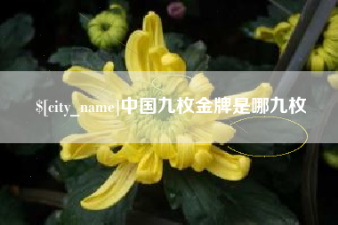 徐州中国九枚金牌是哪九枚