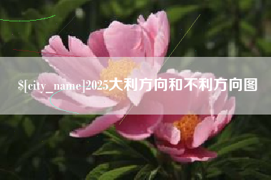 徐州2025大利方向和不利方向图