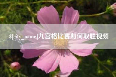 徐州九宫格比赛如何取胜视频
