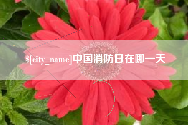 徐州中国消防日在哪一天