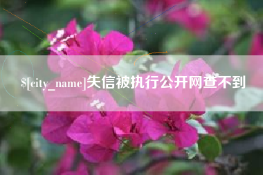 徐州失信被执行公开网查不到