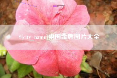 徐州中国金牌图片大全