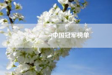 徐州中国冠军榜单