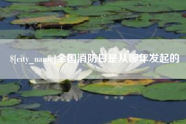 徐州全国消防日是从哪年发起的