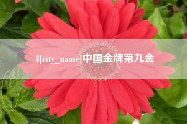 徐州中国金牌第九金