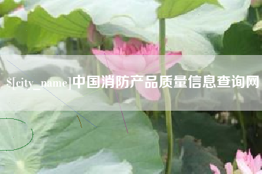 徐州中国消防产品质量信息查询网