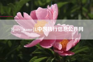 徐州1.中国执行信息公开网