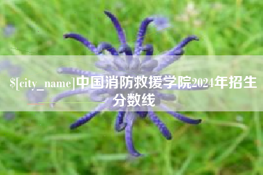 徐州中国消防救援学院2024年招生分数线
