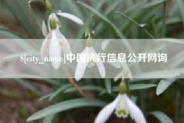 徐州中国执行信息公开网询