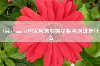 徐州国家应急救援员报名网址是什么