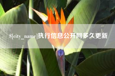 徐州执行信息公开网多久更新