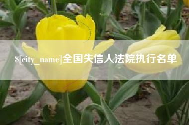 徐州全国失信人法院执行名单