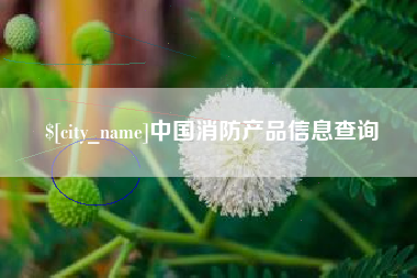 徐州中国消防产品信息查询