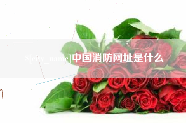徐州中国消防网址是什么