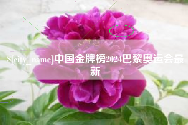 徐州中国金牌榜2024巴黎奥运会最新