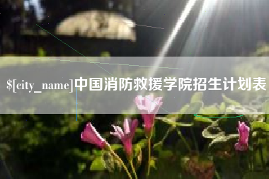 徐州中国消防救援学院招生计划表