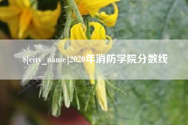 徐州2020年消防学院分数线