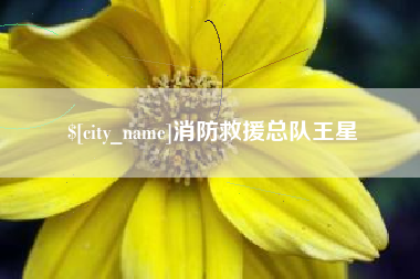 徐州消防救援总队王星