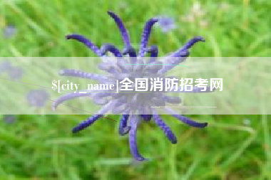 徐州全国消防招考网
