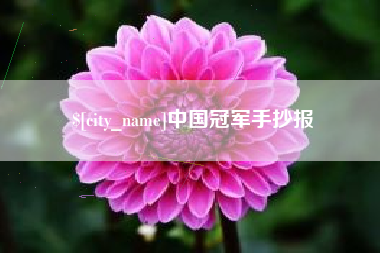 徐州中国冠军手抄报