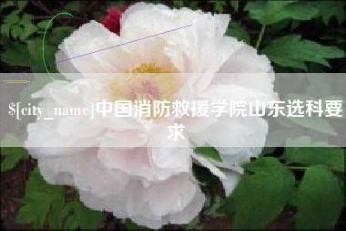 徐州中国消防救援学院山东选科要求
