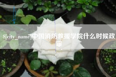 徐州中国消防救援学院什么时候政审