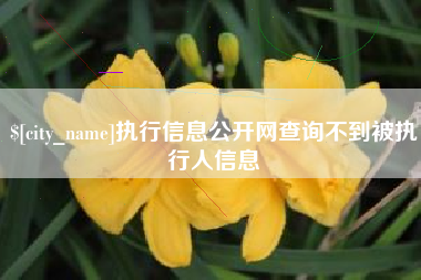 徐州执行信息公开网查询不到被执行人信息