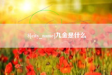 徐州九金是什么