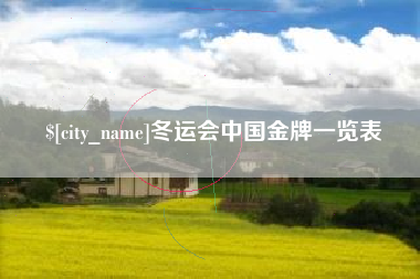 徐州冬运会中国金牌一览表