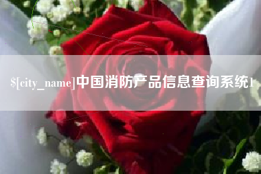 徐州中国消防产品信息查询系统1