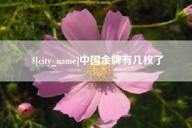 徐州中国金牌有几枚了
