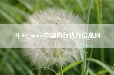 徐州中国执行执行信息网