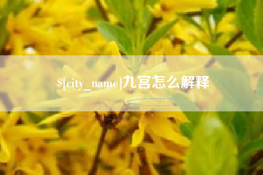 徐州九宫怎么解释