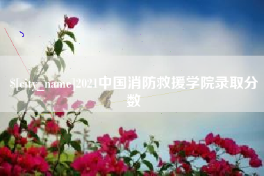 徐州2021中国消防救援学院录取分数
