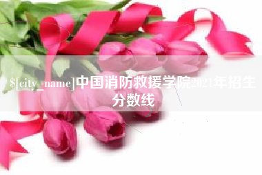 徐州中国消防救援学院2021年招生分数线