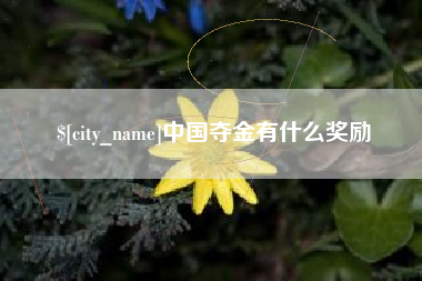 徐州中国夺金有什么奖励