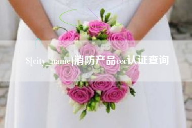 徐州消防产品ccc认证查询