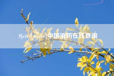 徐州中国消防在线查询