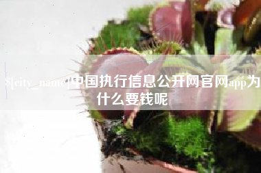 徐州中国执行信息公开网官网app为什么要钱呢