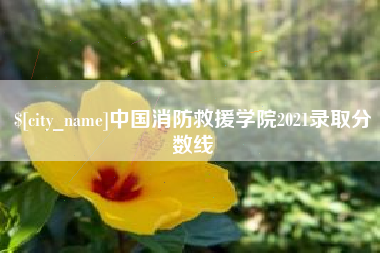 徐州中国消防救援学院2021录取分数线