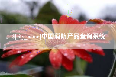 徐州中国消防产品查询系统