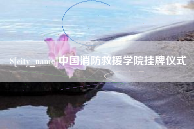 徐州中国消防救援学院挂牌仪式